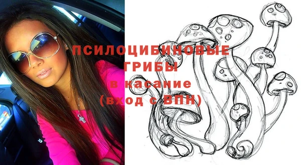 PSILOCYBIN Алексин