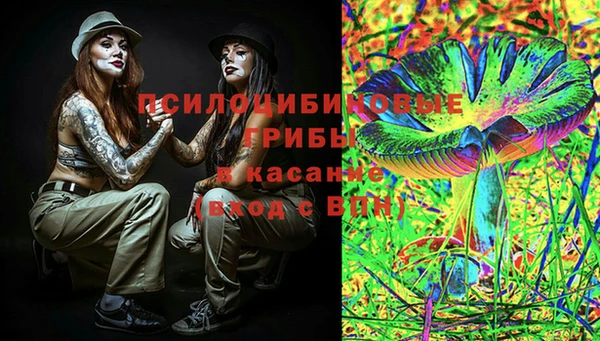 PSILOCYBIN Алексин