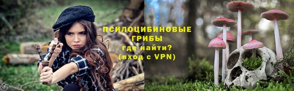 spice Алексеевка
