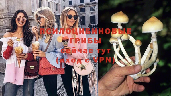 PSILOCYBIN Алексин