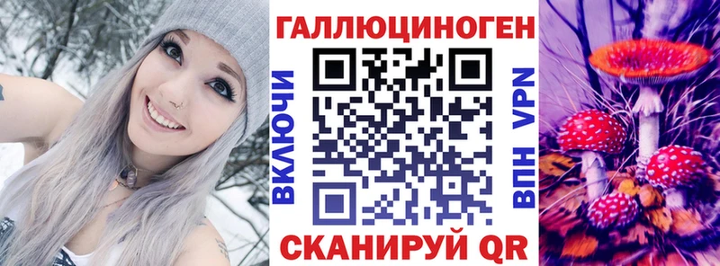 Галлюциногенные грибы Psilocybe блэк спрут ТОР Краснообск